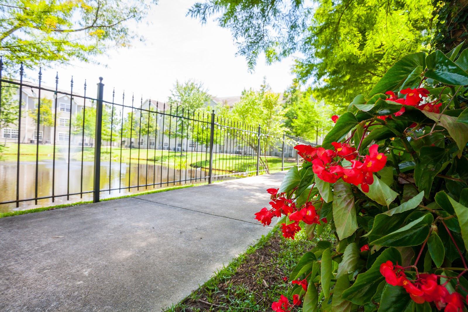 The Windsor Senior Living Community