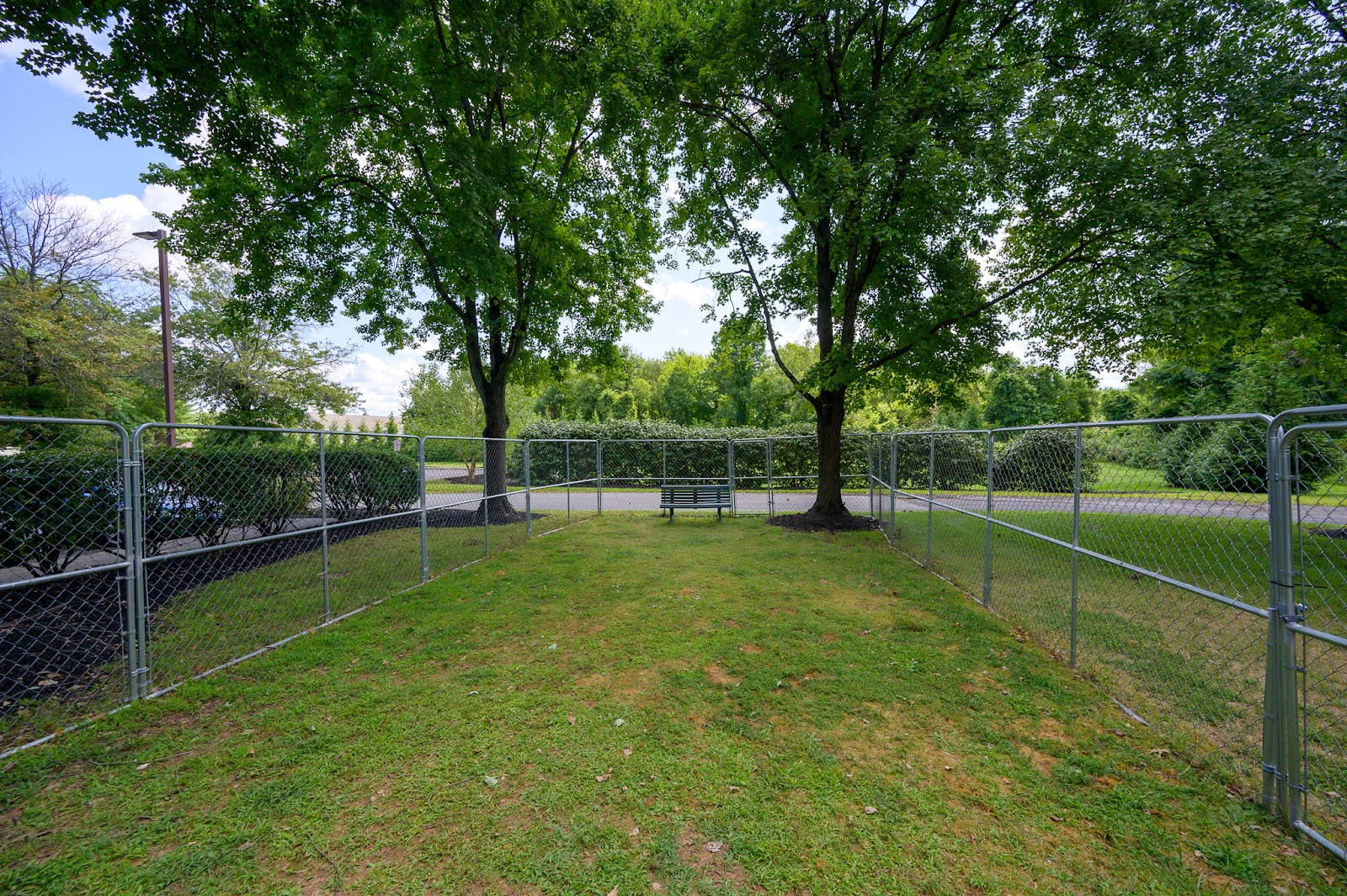 Wilentz Senior Residence