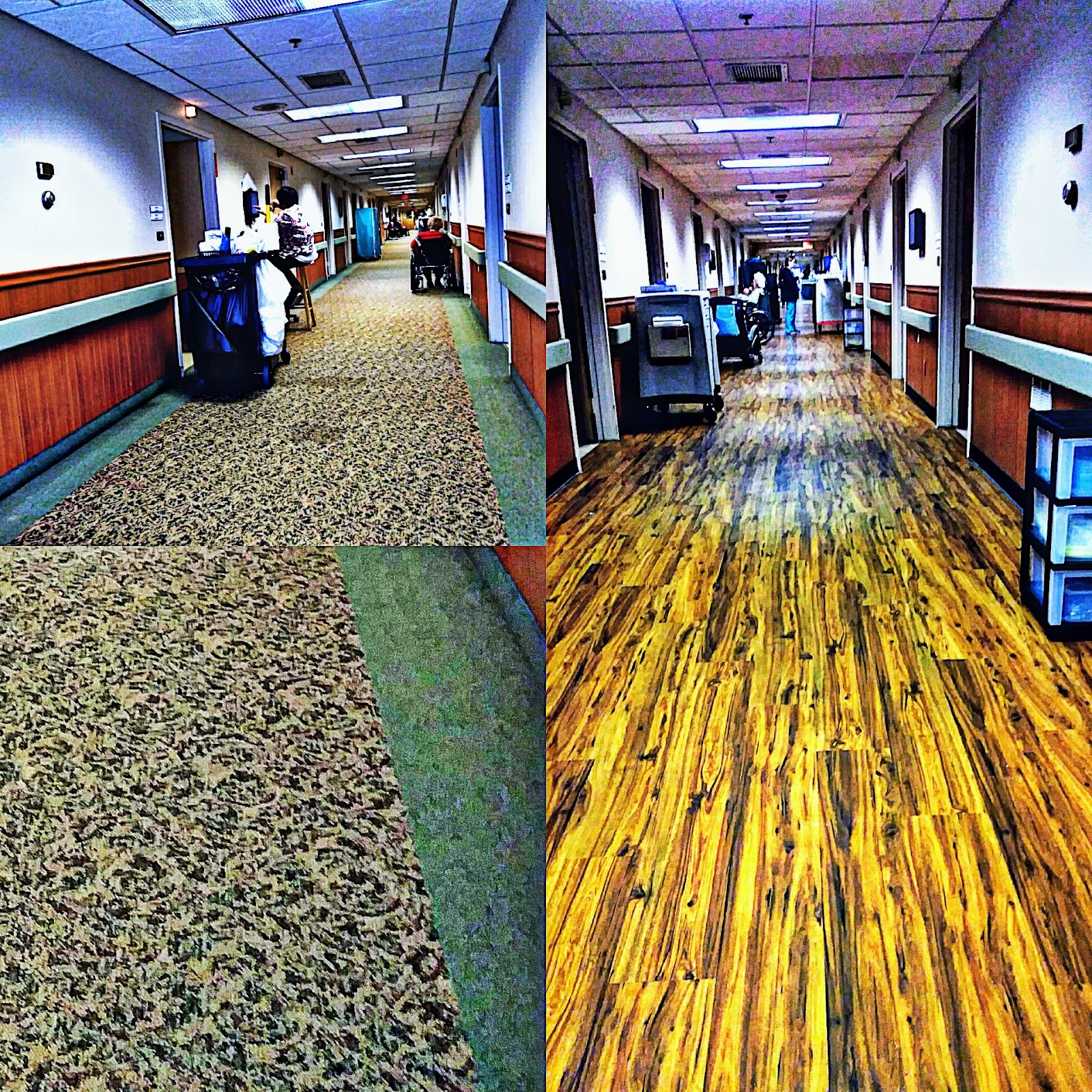Mount Carmel Senior Living Community