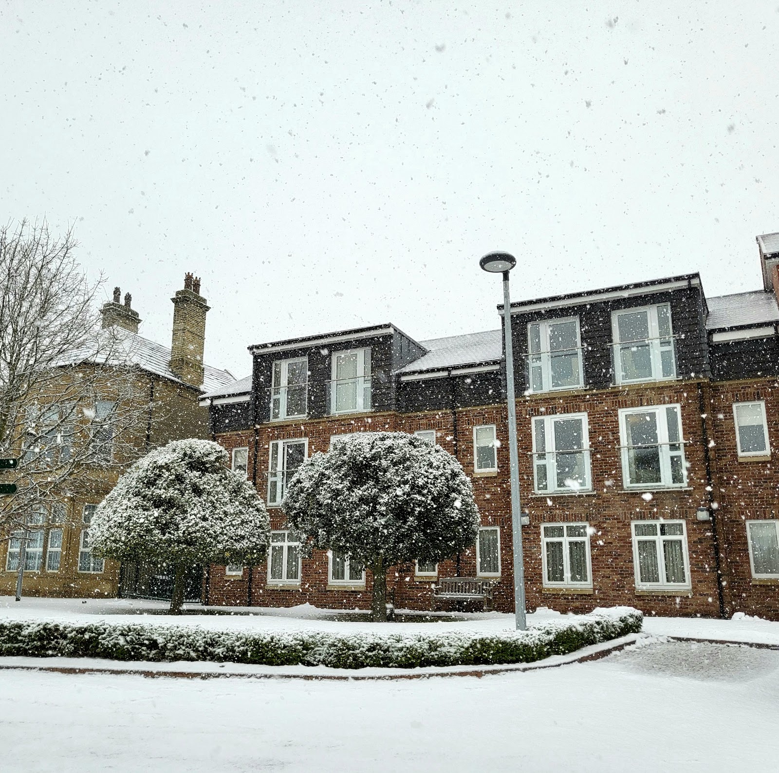 The Grove Care Home
