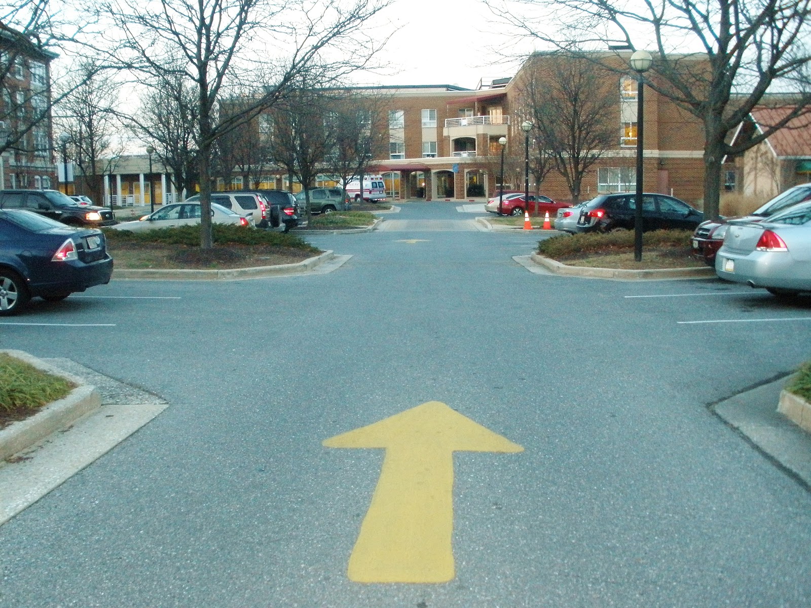 St Elizabeth Rehabilitation and Nursing Center