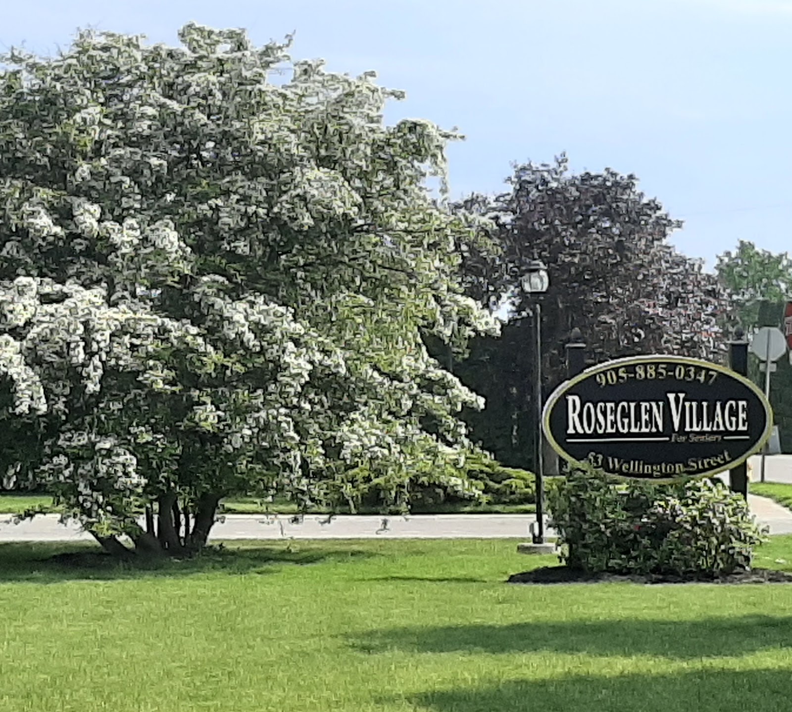 Levante Roseglen Village