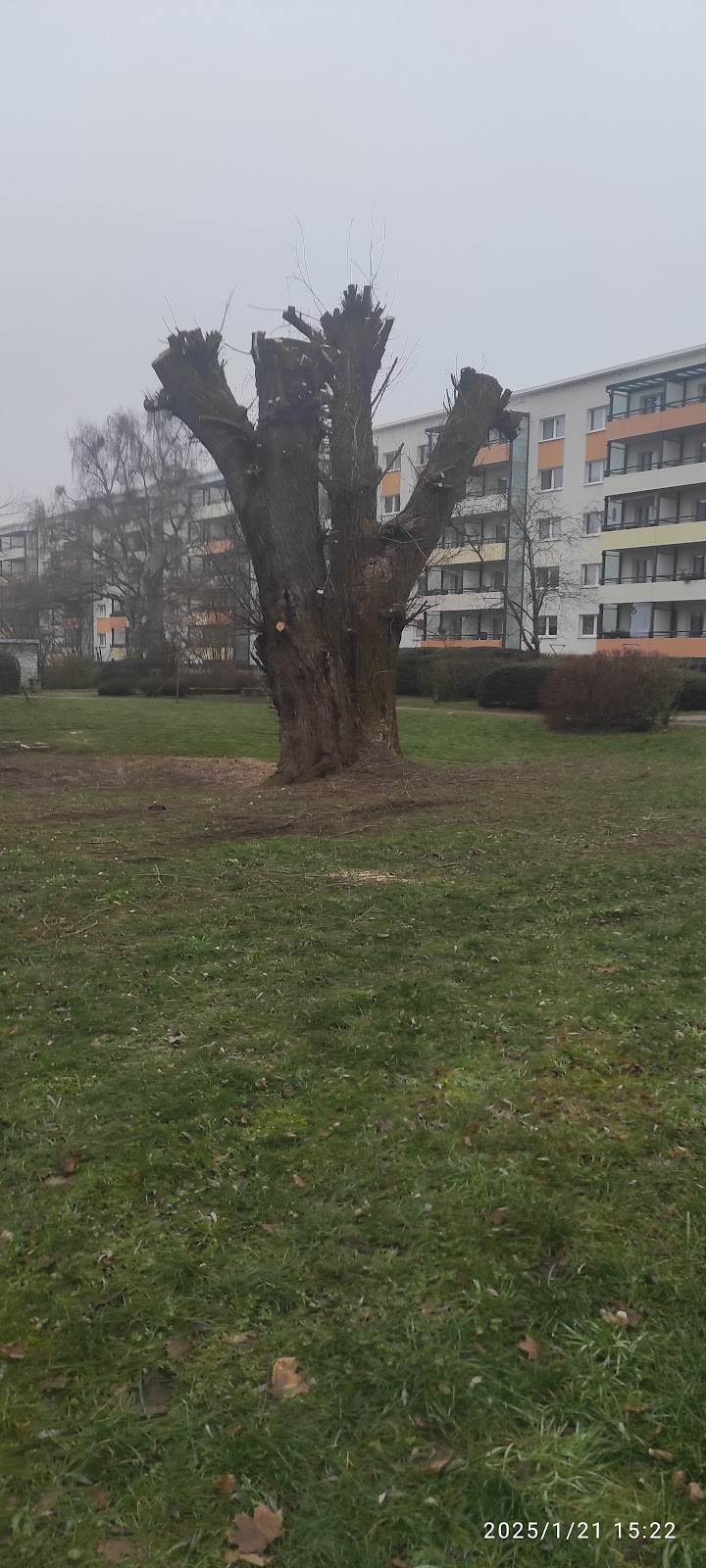 Hoffnungstaler Stiftung Lobetal, Neues Wohnen Bernau