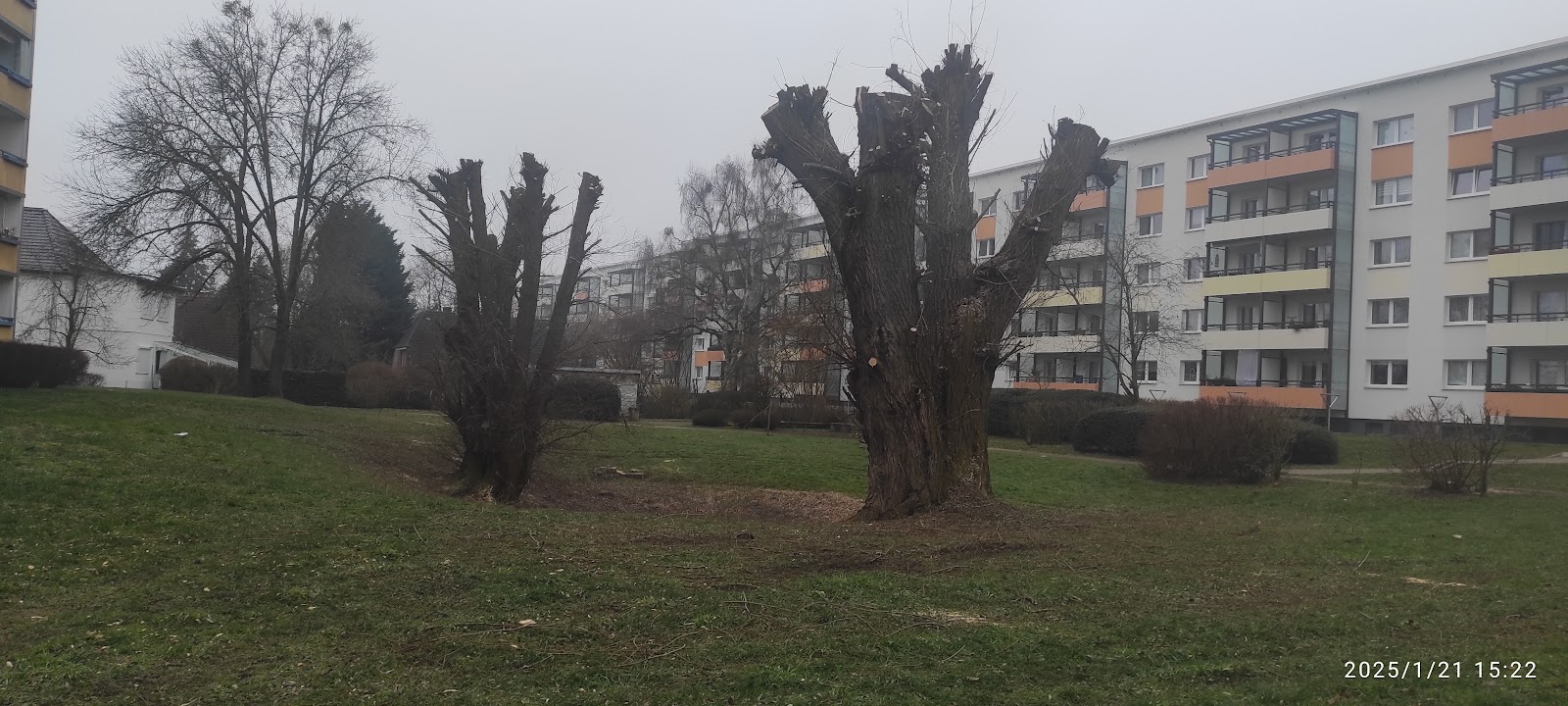 Hoffnungstaler Stiftung Lobetal, Neues Wohnen Bernau