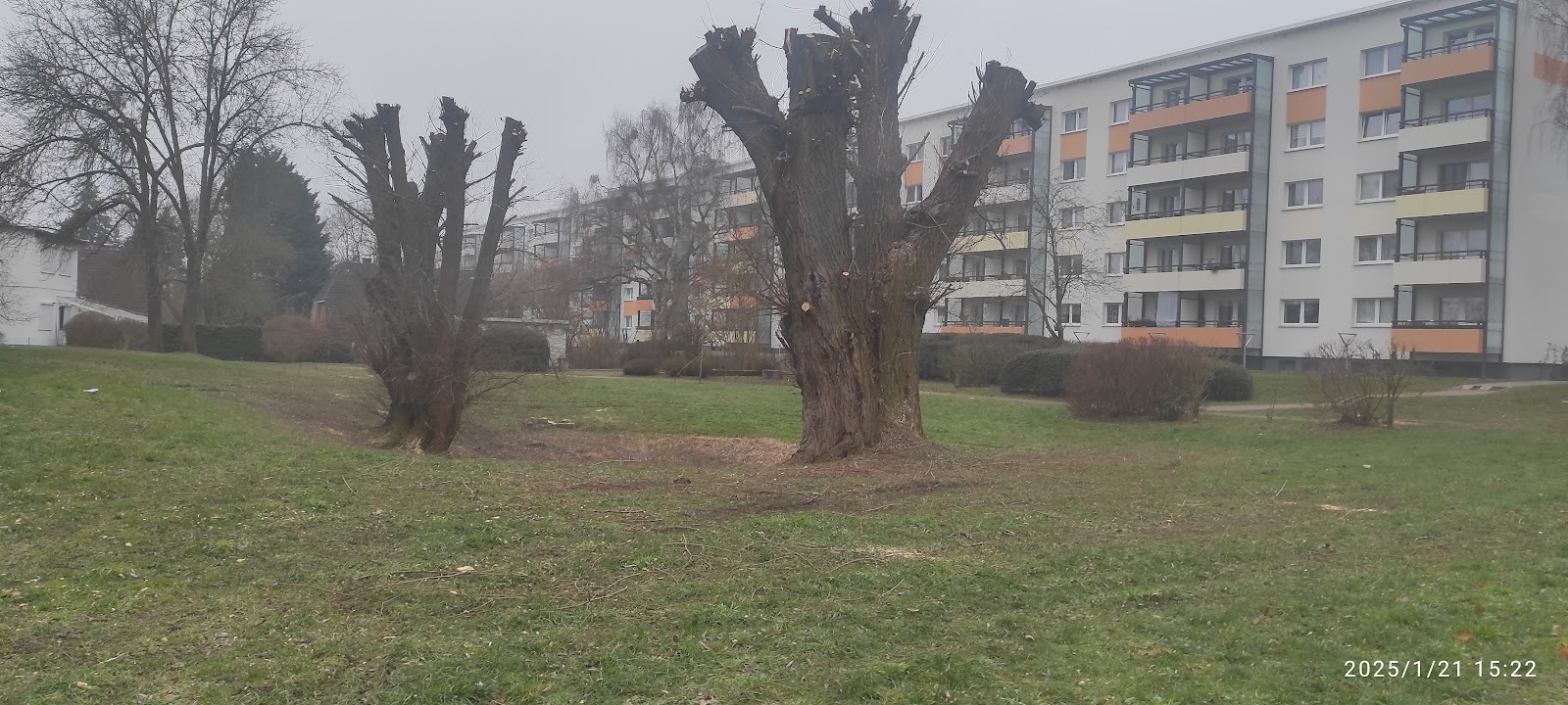 Hoffnungstaler Stiftung Lobetal, Neues Wohnen Bernau
