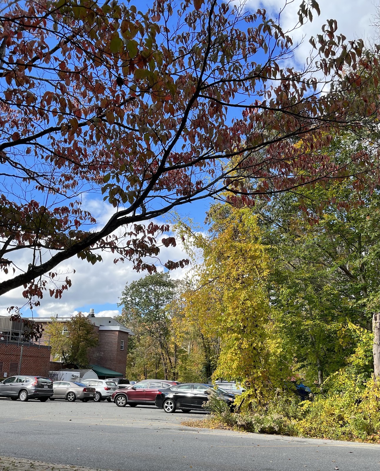 Andover Manor Rehab and Nursing