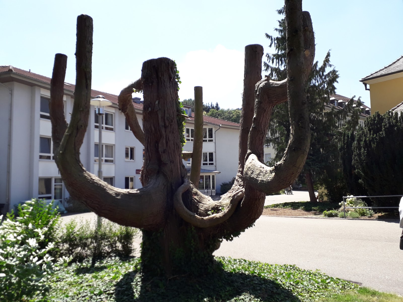 Pflege- und Betreuungsheim Ortenau
