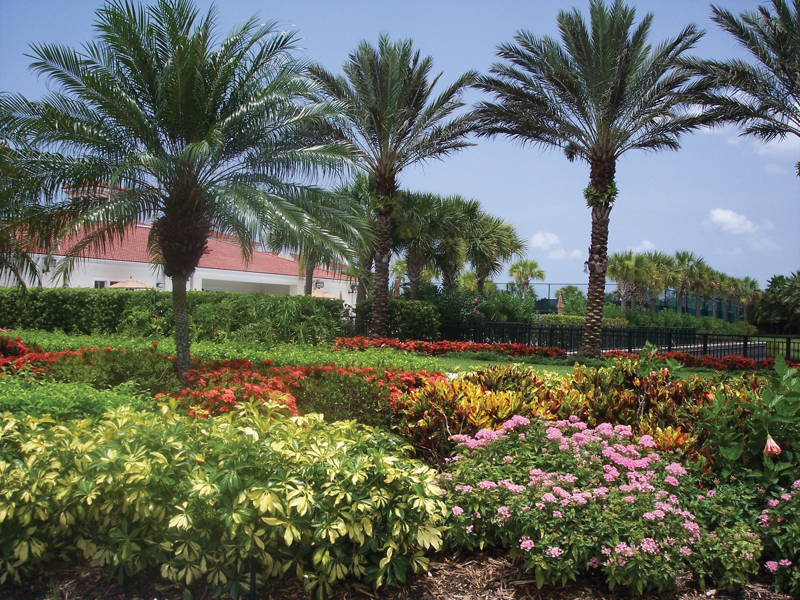 The Glenridge on Palmer Ranch