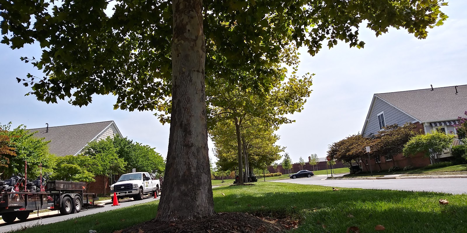 Springhill Community Association