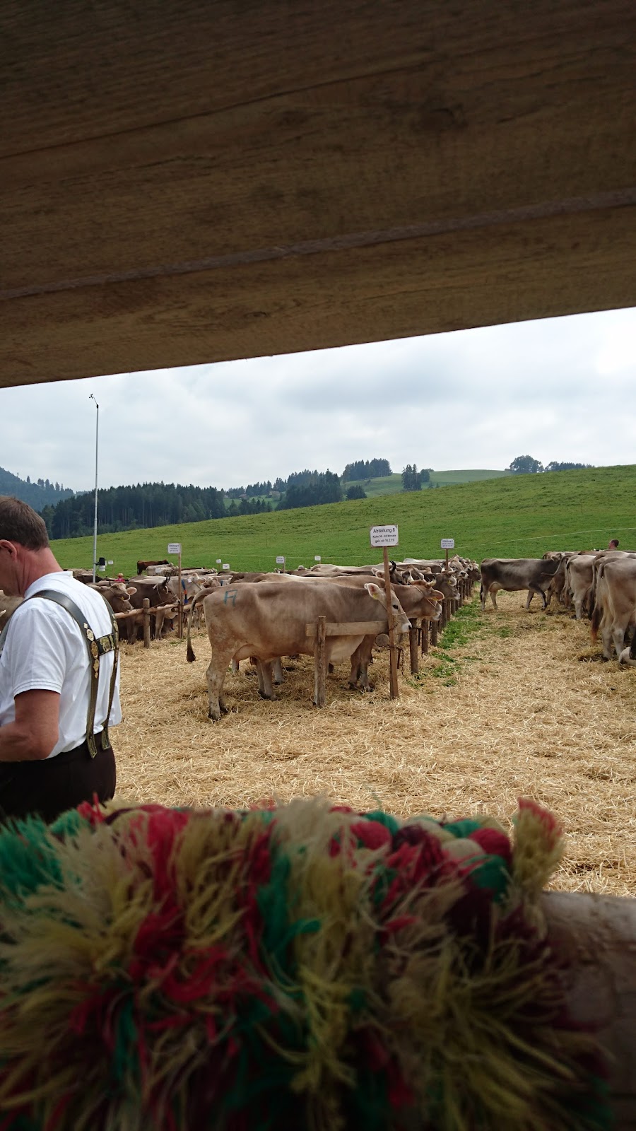 Wohn- und Pflegeheim Boden