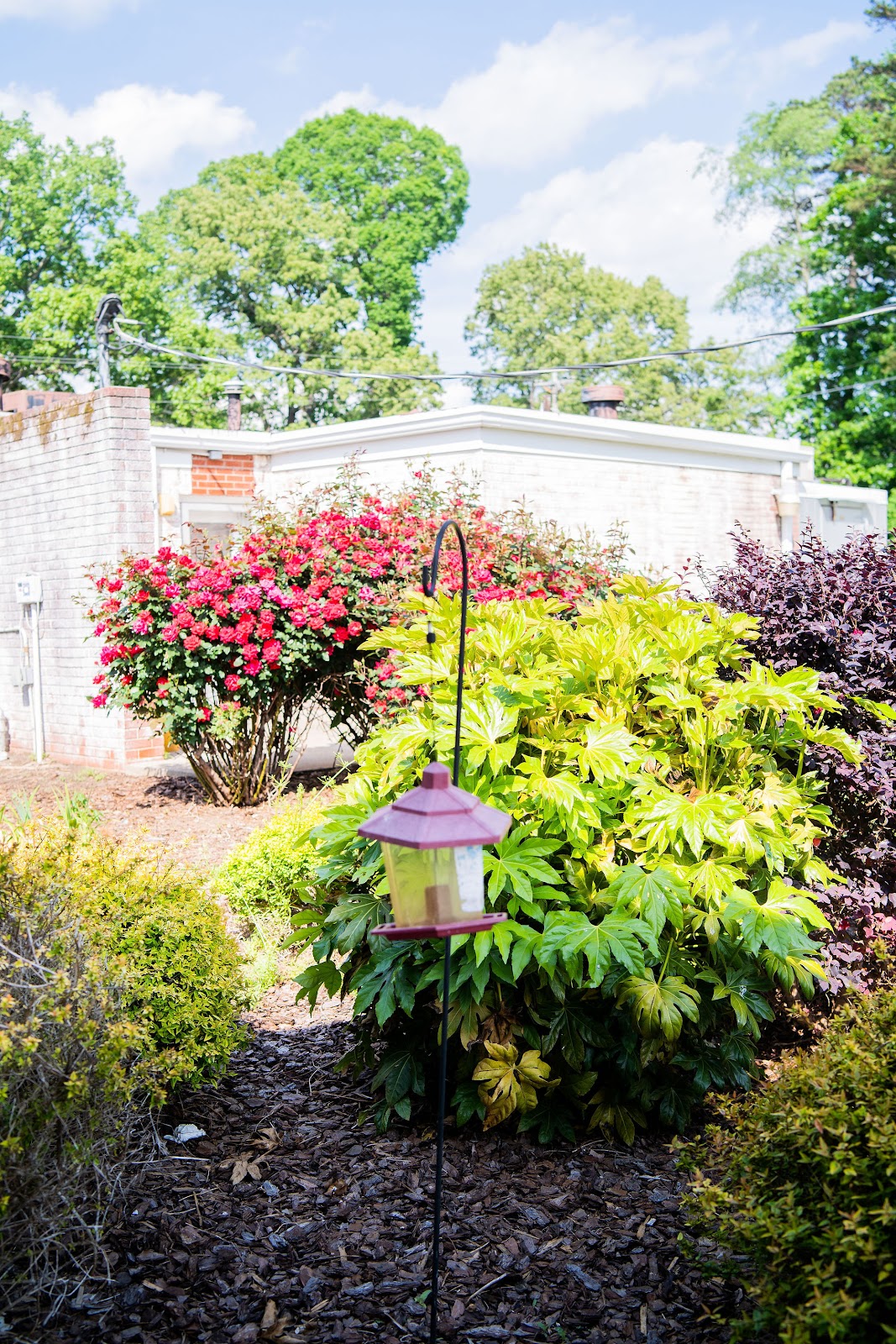 Harmony House Memory Care