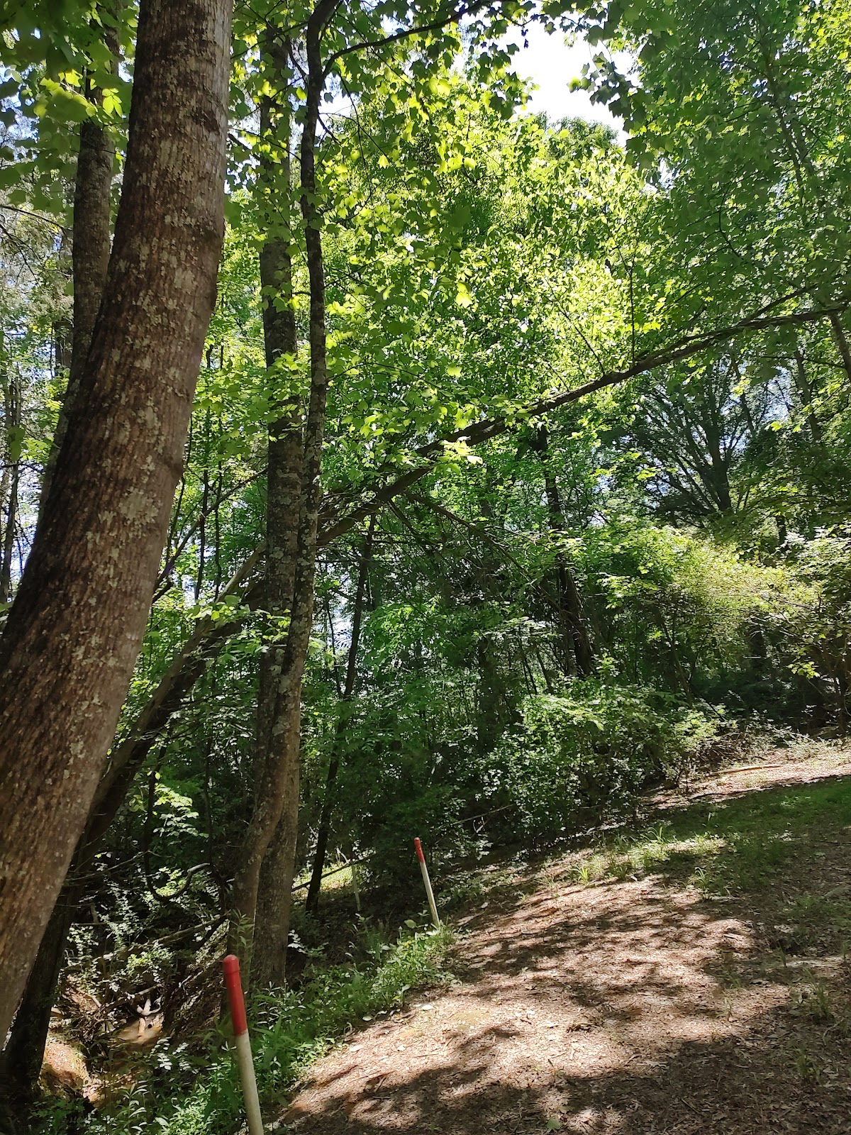 Bailey's Glen An Active Adult Community