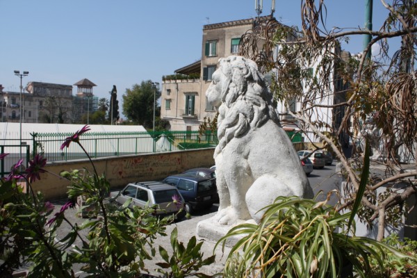 Villa delle Camelie