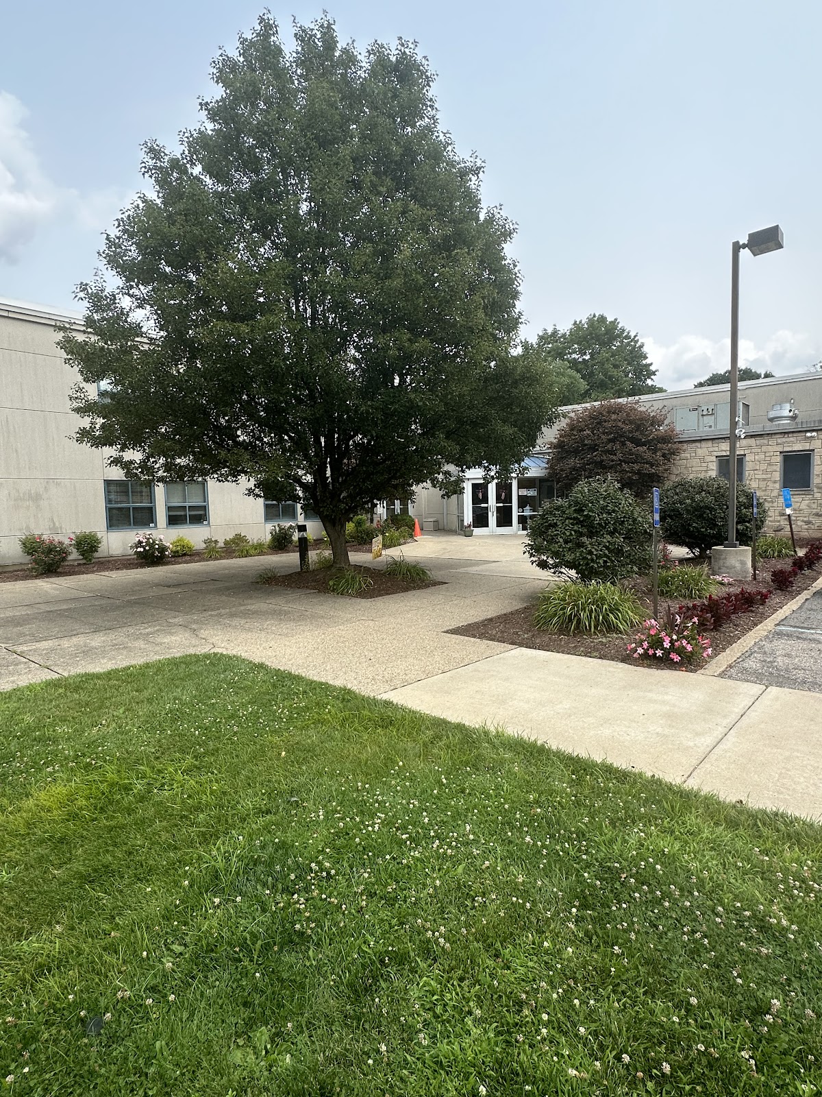 Halcyon of Bridgeville