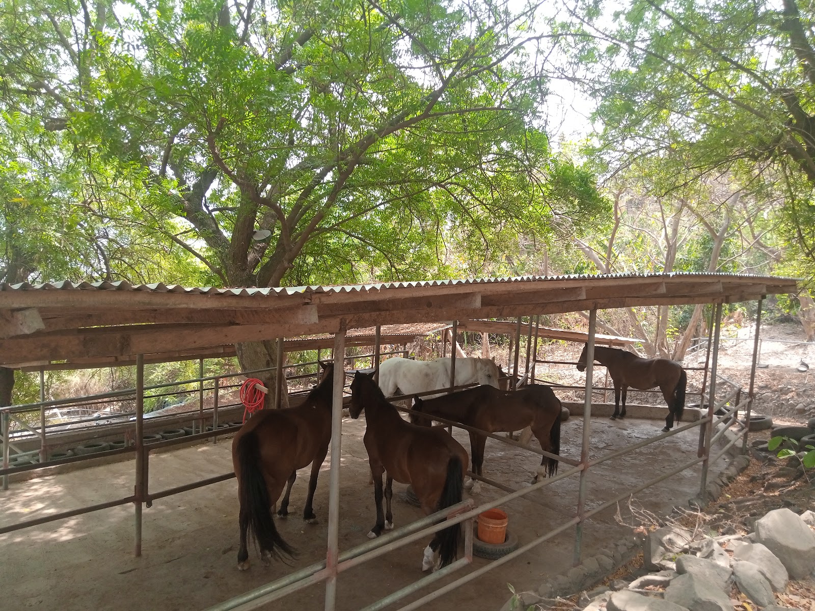 The Green Ranch at Lake Bosomtwe