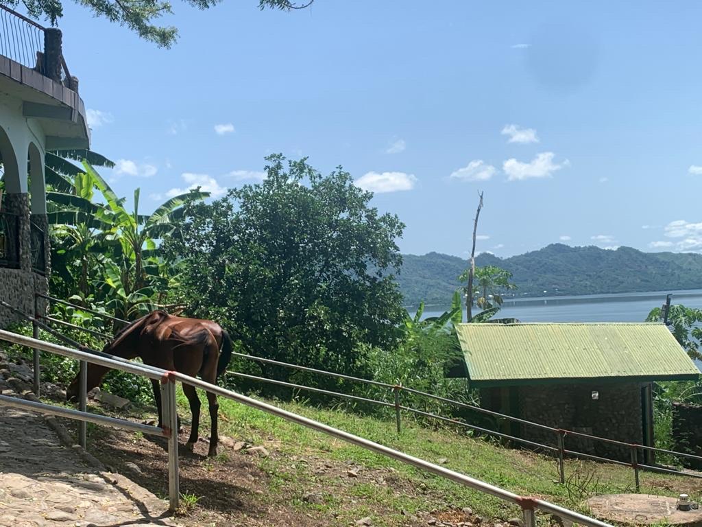The Green Ranch at Lake Bosomtwe