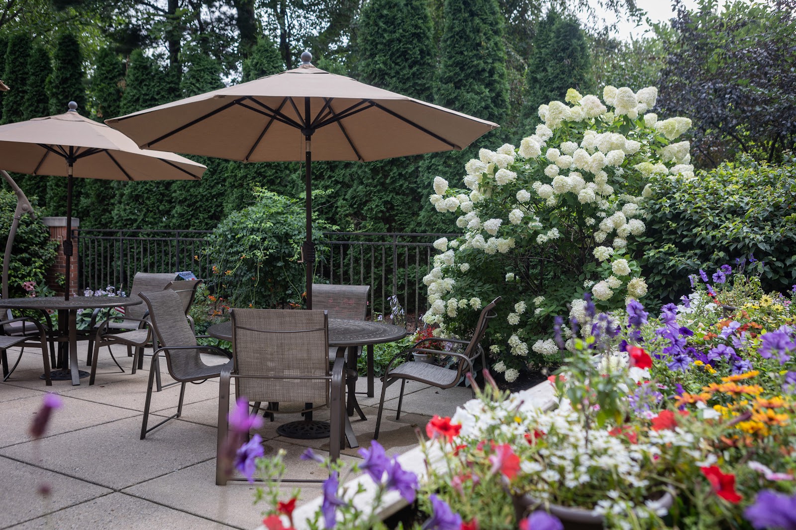 McLaren Oakland Lake Orion Nursing and Rehabilitation
