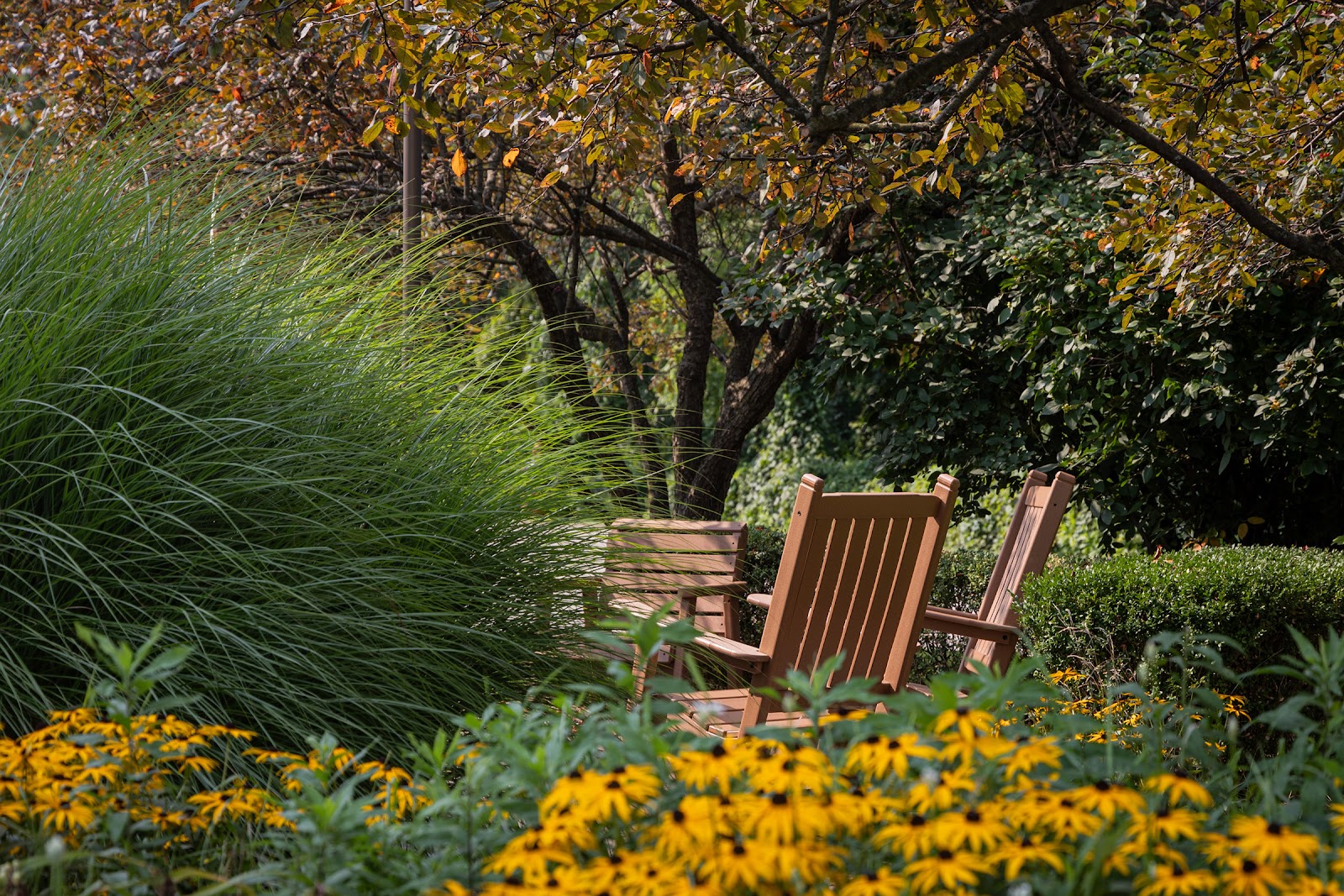 McLaren Oakland Lake Orion Nursing and Rehabilitation