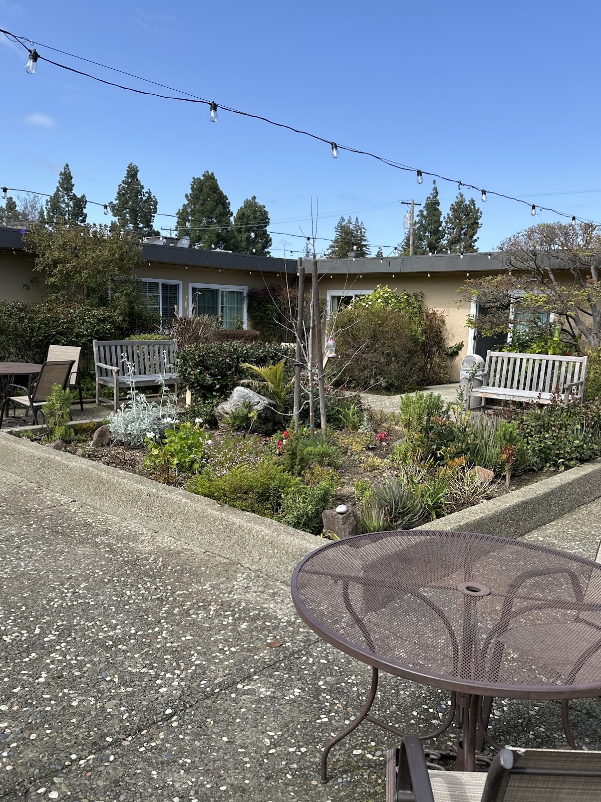Mountain View Healthcare Center
