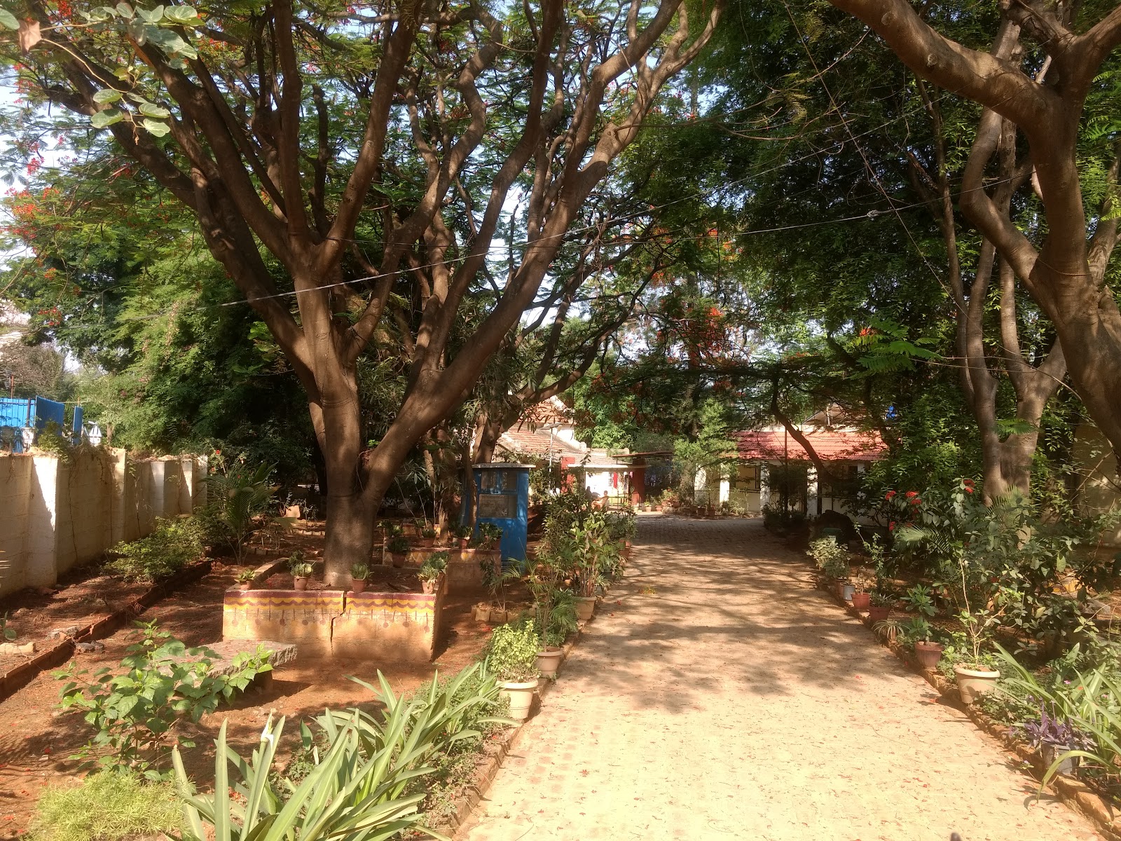 Cheshire Homes India