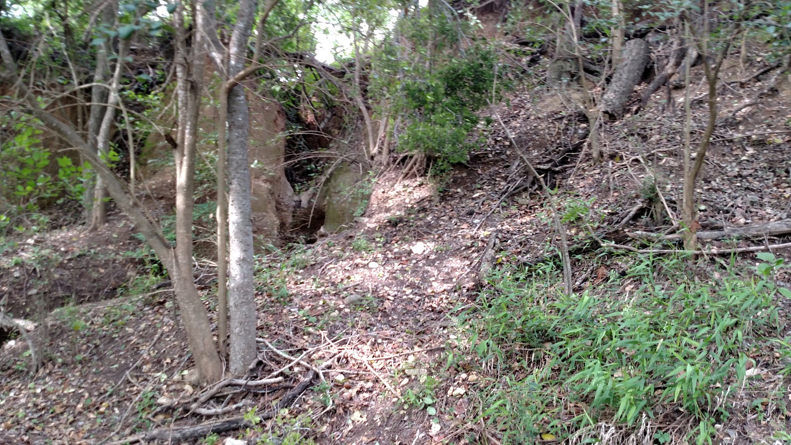 River Point Of Kerrville