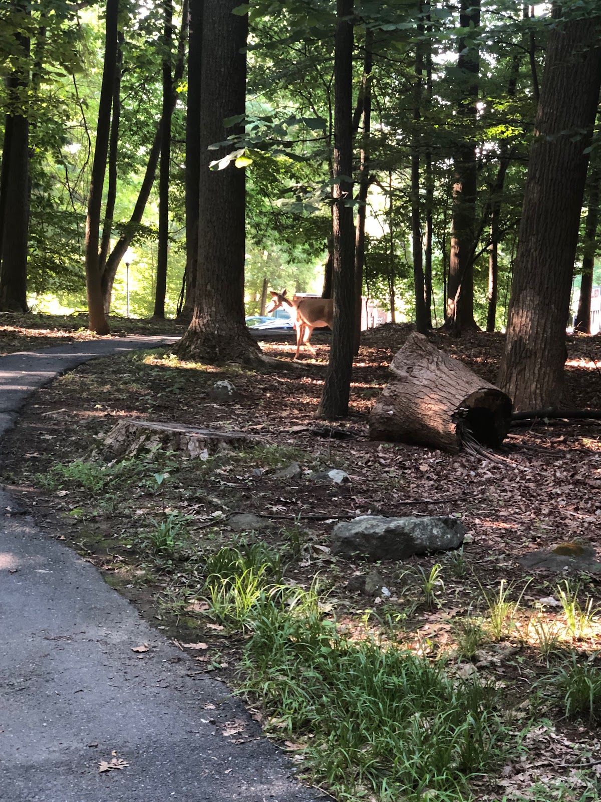 Leisure World of Maryland