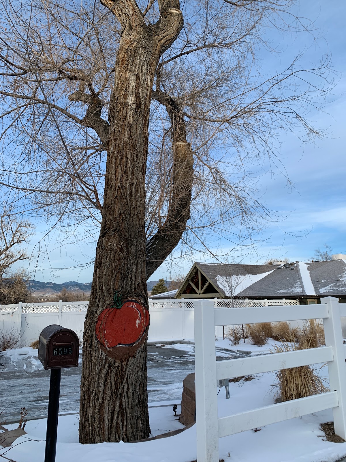 Applewood Our House Assisted Living Memory Care North Arvada