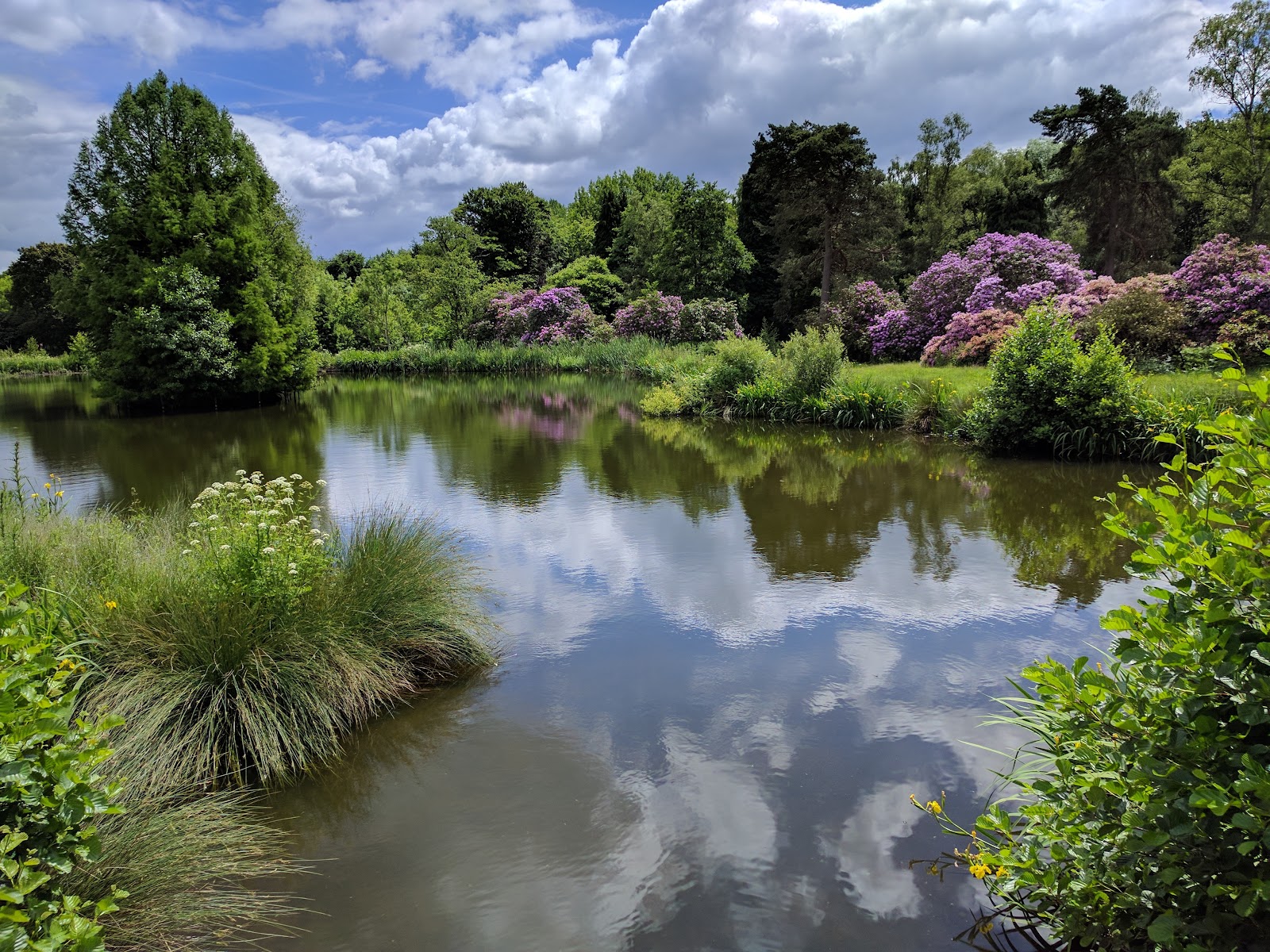 Birtley House