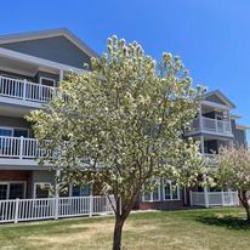 Kinship Pointe Northridge