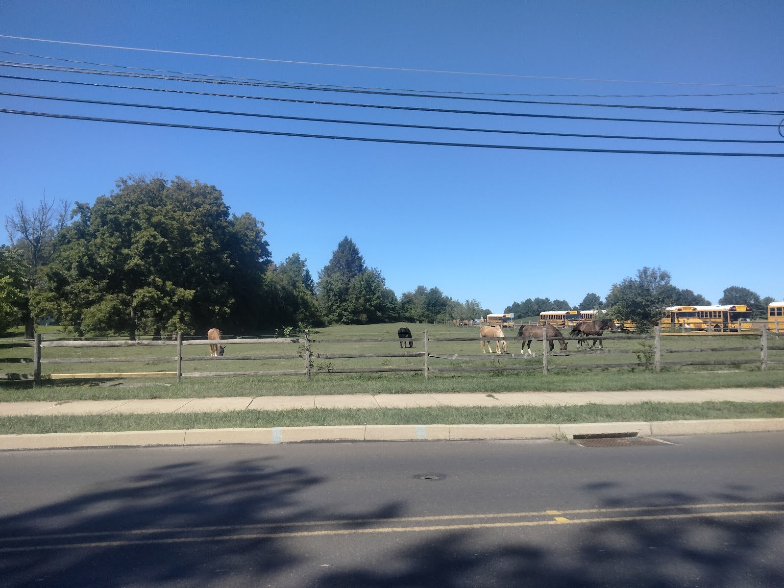Holland Village Senior Living