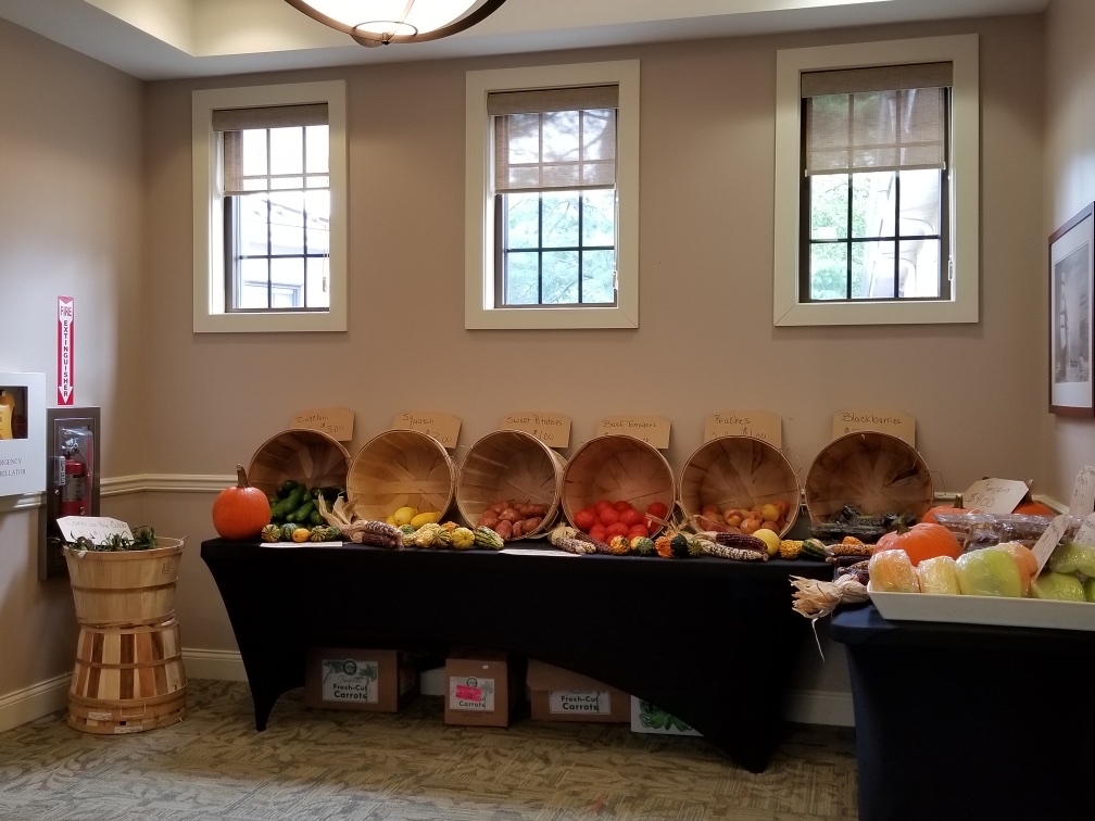 Holland Village Senior Living