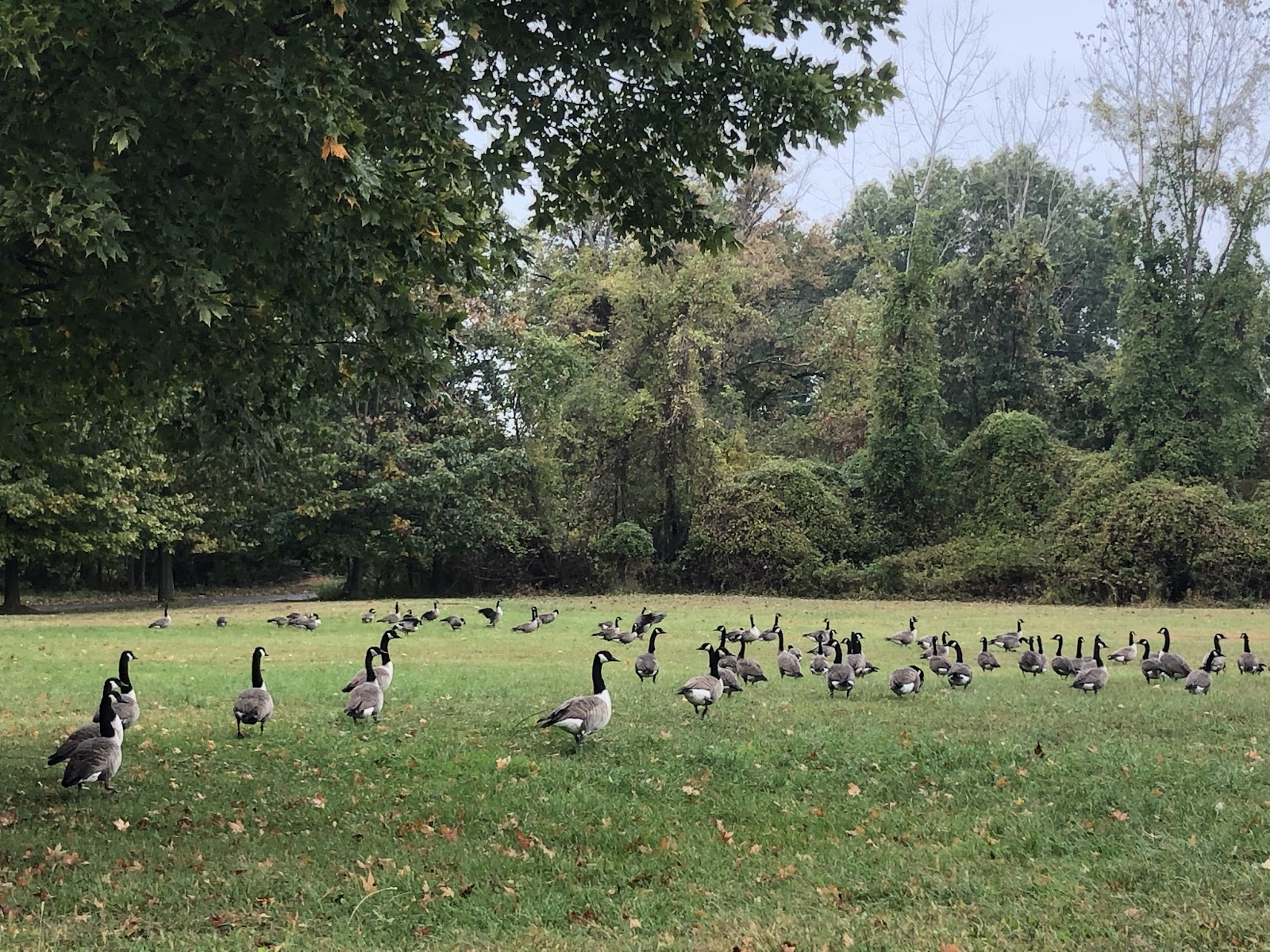 Delaware Valley Veterans Home