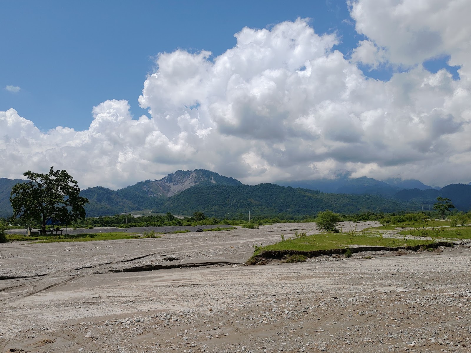 Makrapara Tea Garden