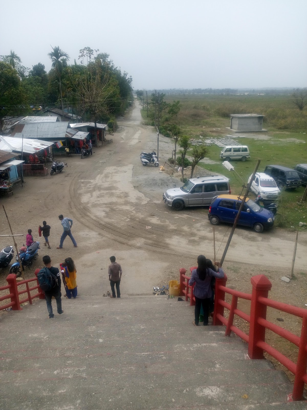 Makrapara Tea Garden