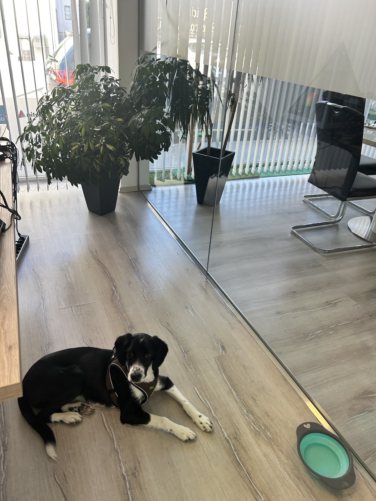 VMVB Financial Services Gmbh