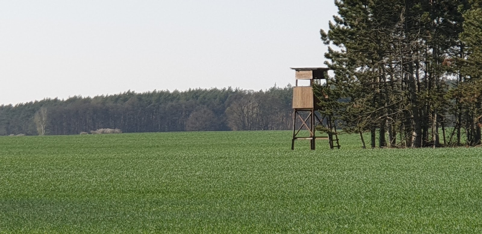 Seniorenpark "Am Apollensberg"