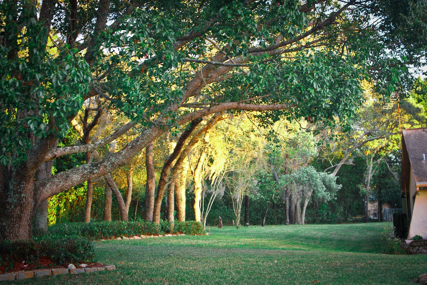 Guardian Assisted Living Facility-Home Health