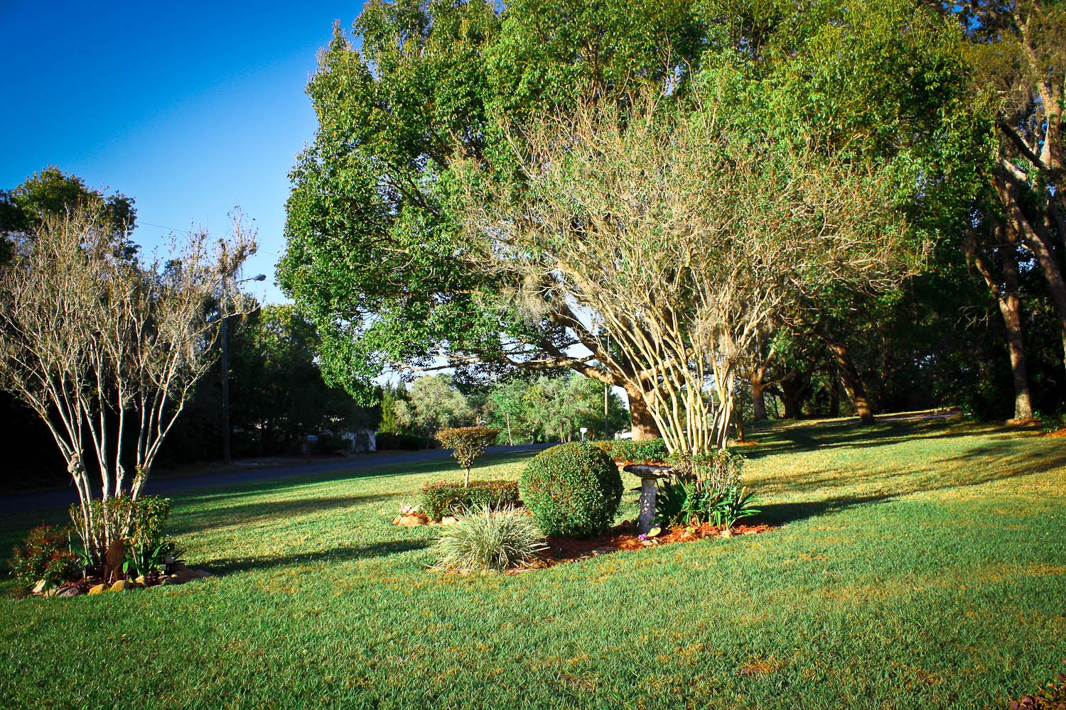 Guardian Assisted Living Facility-Home Health
