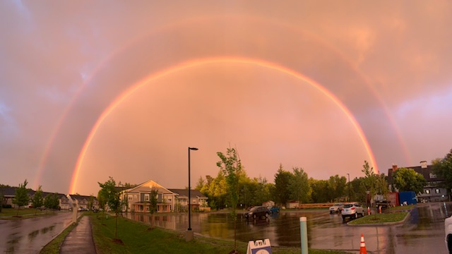 The Residences at the Essex