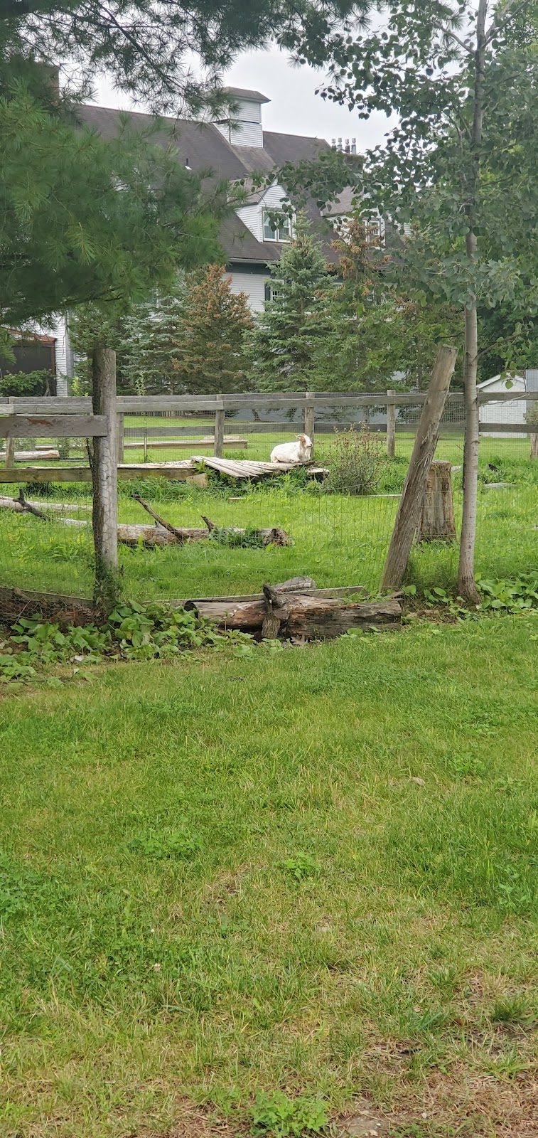 The Residences at the Essex