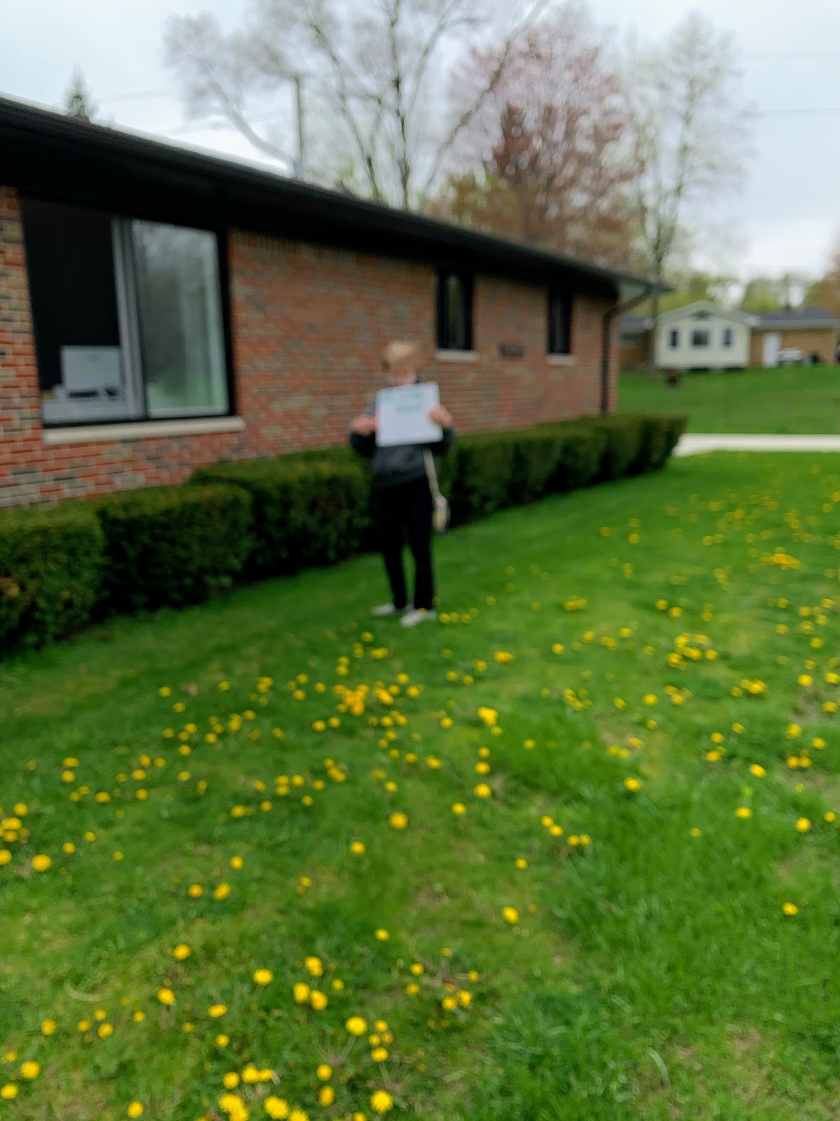 Orchard View Care Home