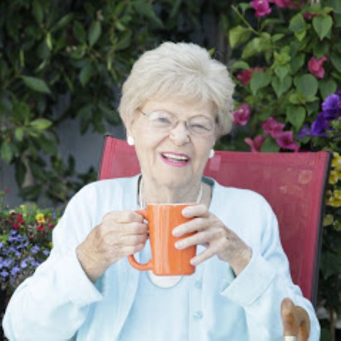 Senior Helpers Franchise