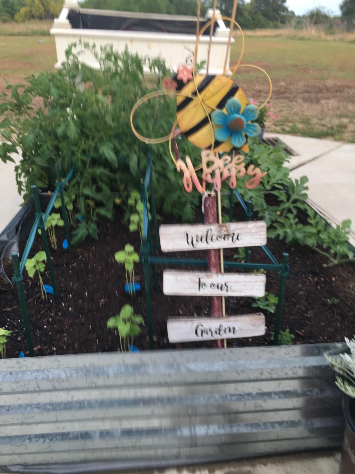 BeeHive Homes Assisted Living