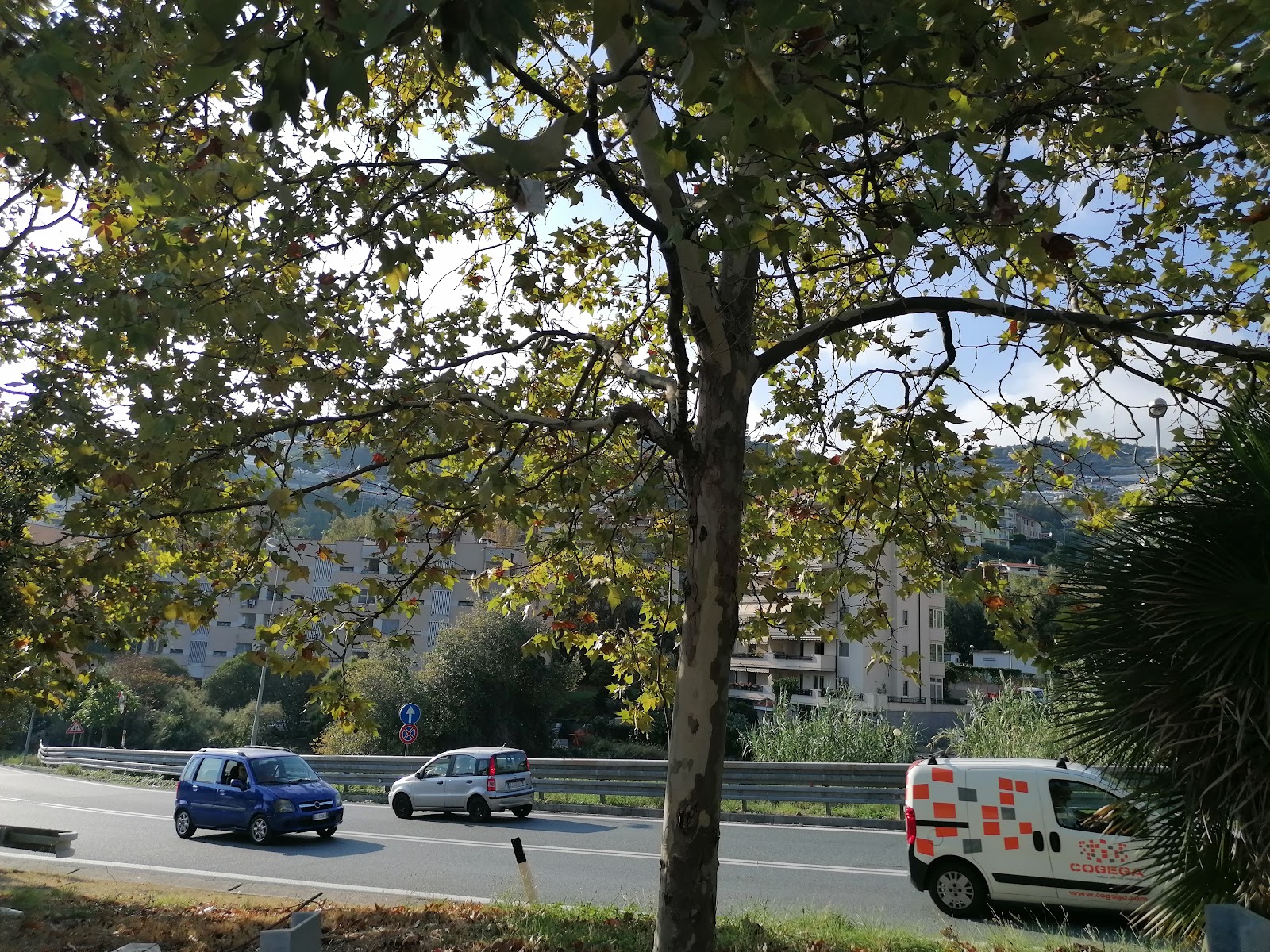Residenza Anni Azzurri B. Franchiolo