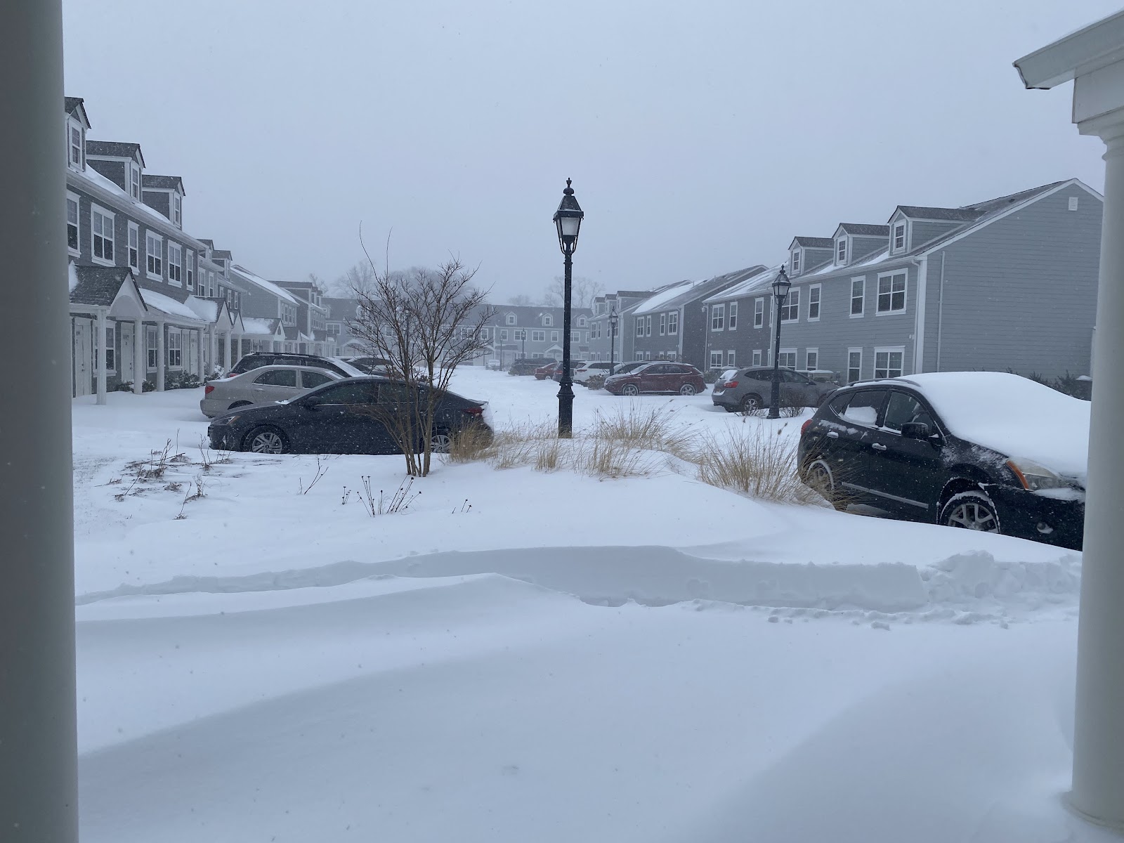 The Homestead Senior Apartments