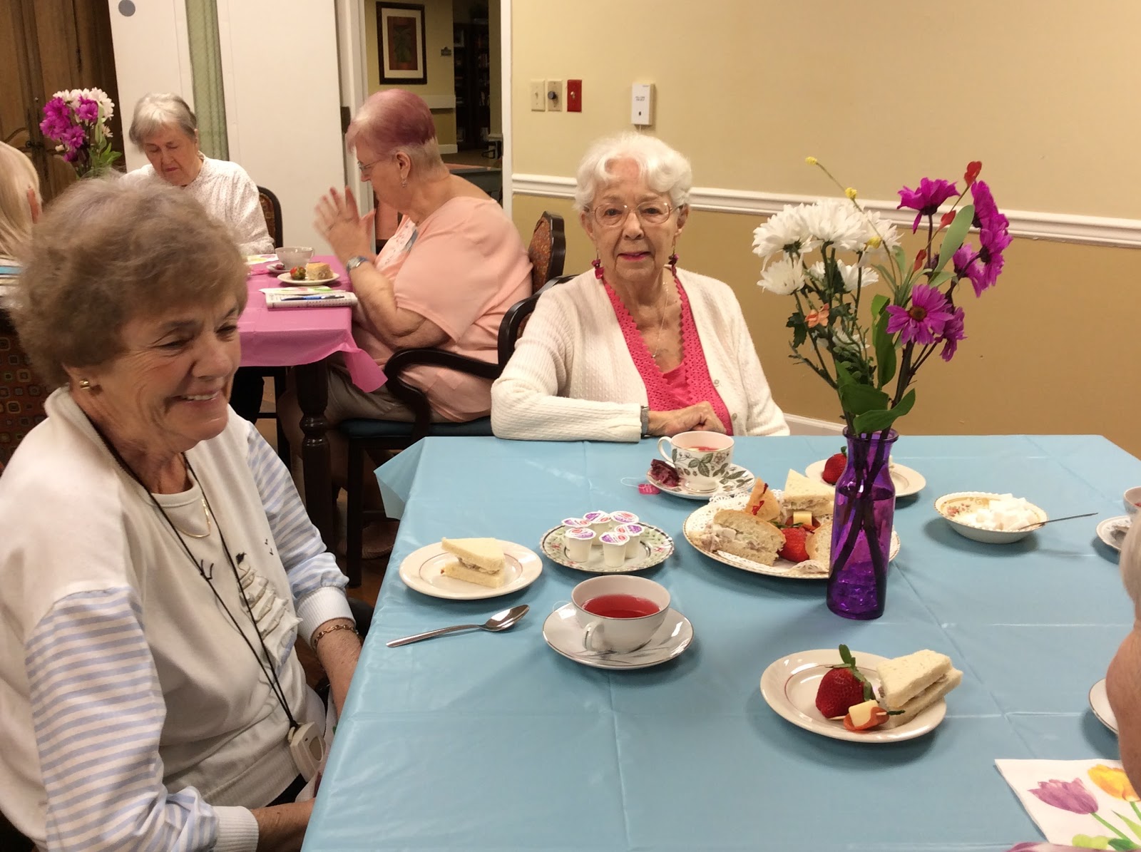 Volante Senior Living of Dunedin