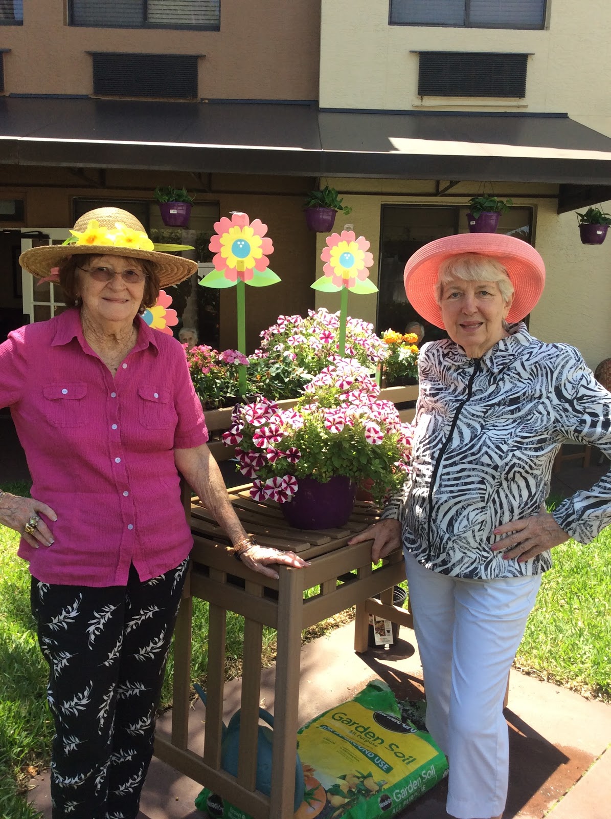 Volante Senior Living of Dunedin