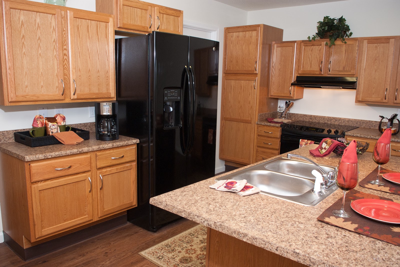 Carriage Trails Senior Villas