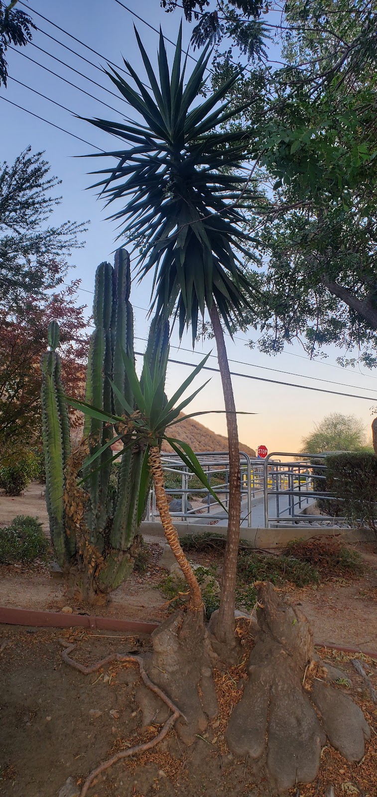 Lake Elsinore Senior Activity Center