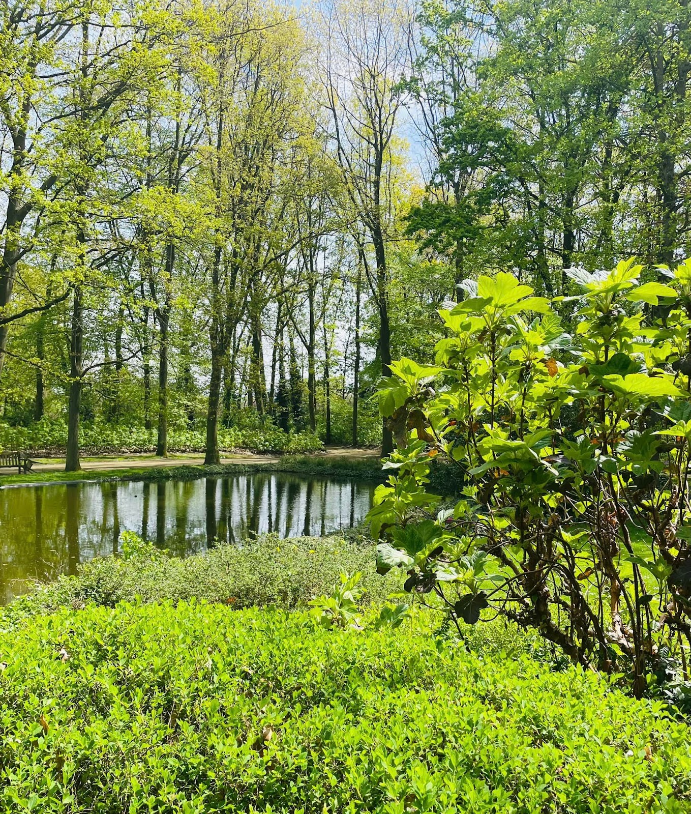 Militza Oostakker | Woonzorgcentrum, herstelverblijf & assistentiewoningen